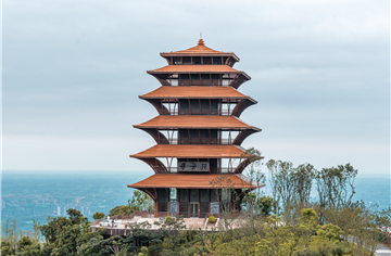 解讀公園城市之美！CDAD執(zhí)行副總規(guī)劃師何昕為成都市中小學生開講“第一課”